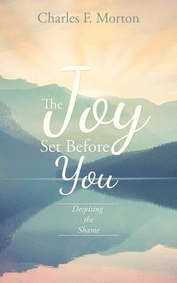 bokomslag Joy Set Before You