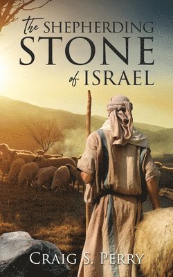 bokomslag Shepherding Stone of Israel