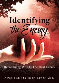 bokomslag Identifying The Enemy