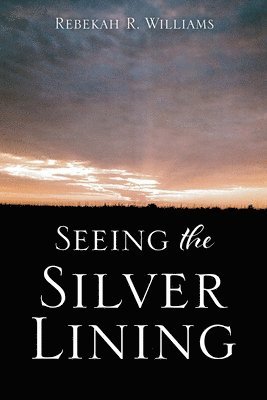 Seeing The Silver Lining 1