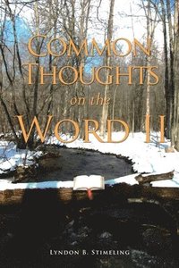 bokomslag COMMON THOUGHTS on the WORD II