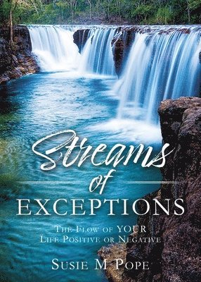 bokomslag Streams of Exceptions