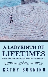 bokomslag A Labyrinth of Lifetimes