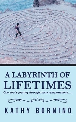 bokomslag A Labyrinth of Lifetimes