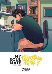 bokomslag My Soul Mate