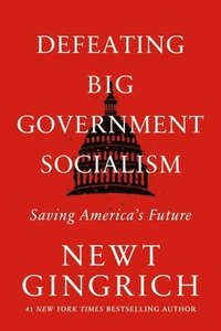 bokomslag Defeating Big Government Socialism