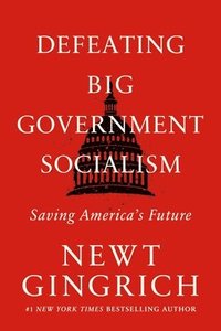 bokomslag Defeating Big Government Socialism