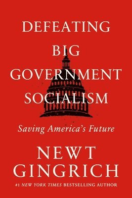 bokomslag Defeating Big Government Socialism