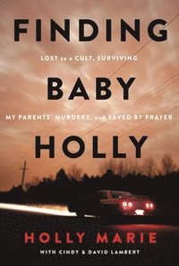 bokomslag Finding Baby Holly