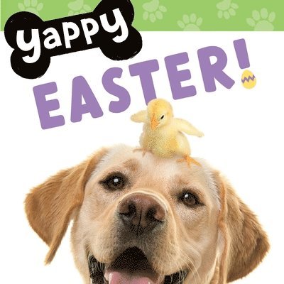 Yappy Easter! 1