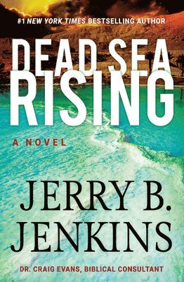 bokomslag Dead Sea Rising