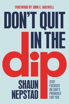Shaun Nepstad - Don't Quit in the Dip, Häftad