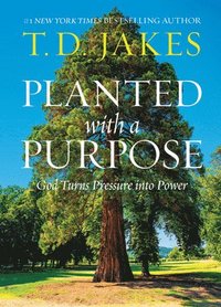 bokomslag Planted with a Purpose