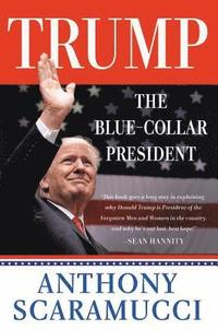 bokomslag Trump, the Blue-Collar President
