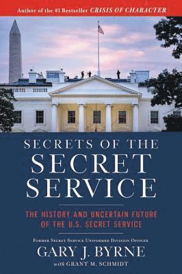 bokomslag Secrets of the Secret Service