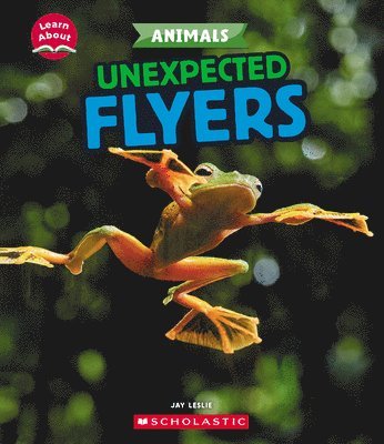 Unexpected Flyers (Learn About: Animals) 1