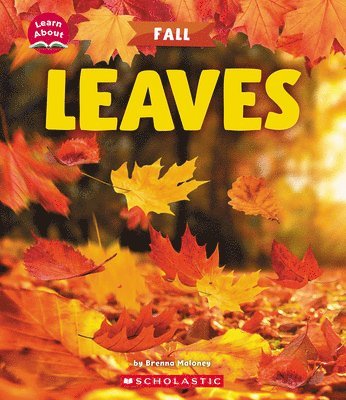 Leaves (Learn About: Fall) 1