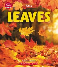 bokomslag Leaves (Learn About: Fall)
