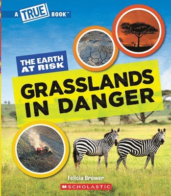 bokomslag Grasslands in Danger (a True Book: The Earth at Risk)