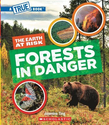 Forests in Danger (a True Book: The Earth at Risk) 1