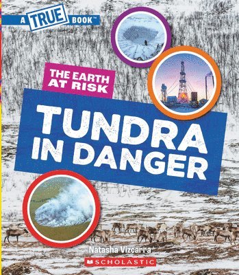 Tundra in Danger (a True Book: The Earth at Risk) 1