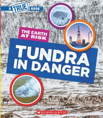 bokomslag Tundra in Danger (a True Book: The Earth at Risk)