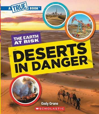 Deserts in Danger (a True Book: The Earth at Risk) 1