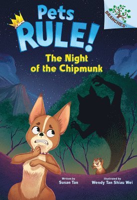 bokomslag The Night of the Chipmunk: A Branches Book (Pets Rule! #6)