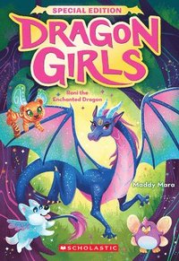 bokomslag Rani the Enchanted Dragon (Dragon Girls Special Edition #1)