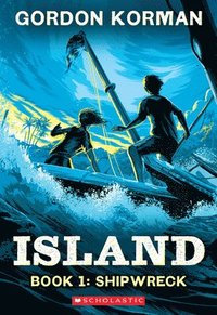 bokomslag Shipwreck (Island Trilogy, Book 1)