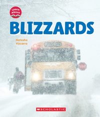 bokomslag Blizzards