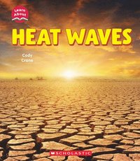 bokomslag Heat Waves