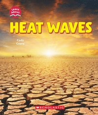 bokomslag Heat Waves