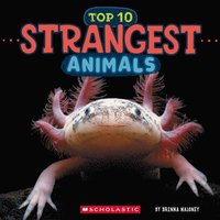 bokomslag Top Ten Strangest Animals (Wild World)
