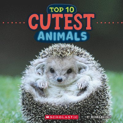 Brenna Maloney - Cutest Animals (Wild World: Top 10), Häftad