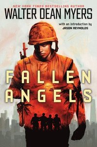 bokomslag Fallen Angels