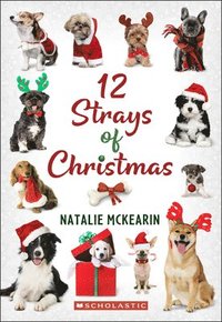 bokomslag 12 Strays of Christmas: A Wish Novel