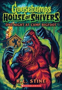 bokomslag One Night at Camp Bigfoot (Goosebumps House of Shivers #6)