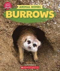 bokomslag Burrows (Learn About: Animal Homes)