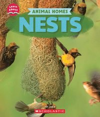 bokomslag Nests (Learn About: Animal Homes)