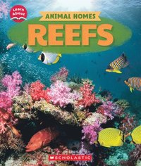 bokomslag Reefs (Learn About: Animal Homes)