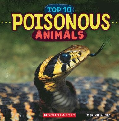 bokomslag Poisonous Animals (Wild World: Top 10)
