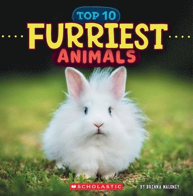 bokomslag Furriest Animals (Wild World: Top 10)