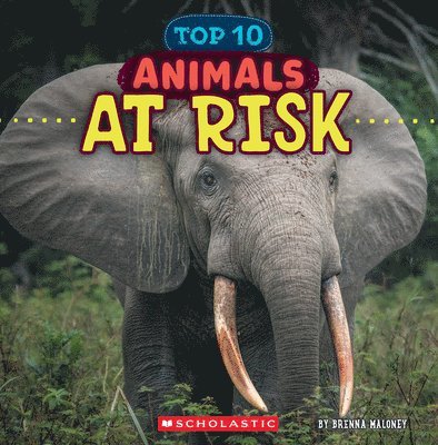 Brenna Maloney - Animals at Risk (Wild World: Top 10), Inbunden