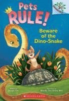 Beware of the Dino-Snake: A Branches Book (Pets Rule! #8) 1