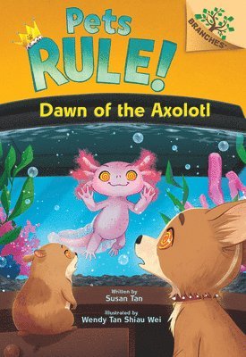 Susan Tan - Dawn of the Axolotl: A Branches Book (Pets Rule! #9), Inbunden