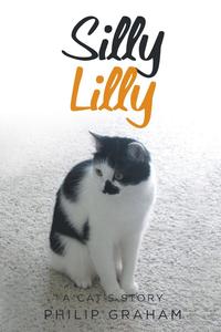 bokomslag Silly Lilly