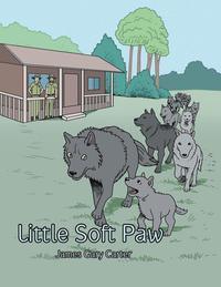 bokomslag Little Soft Paw