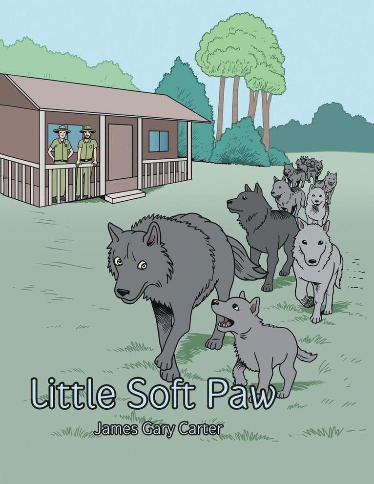 Little Soft Paw 1