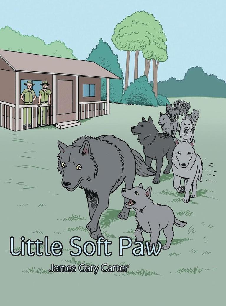 Little Soft Paw 1